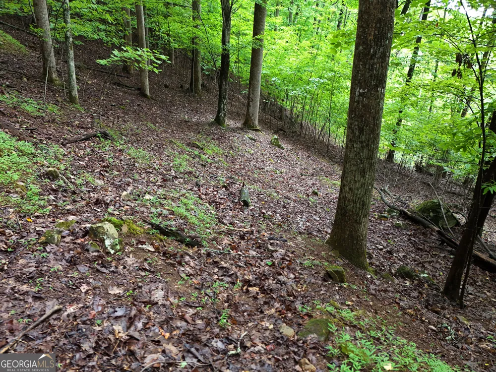 LOT 71 Chicory DR W Blairsville, GA 30512