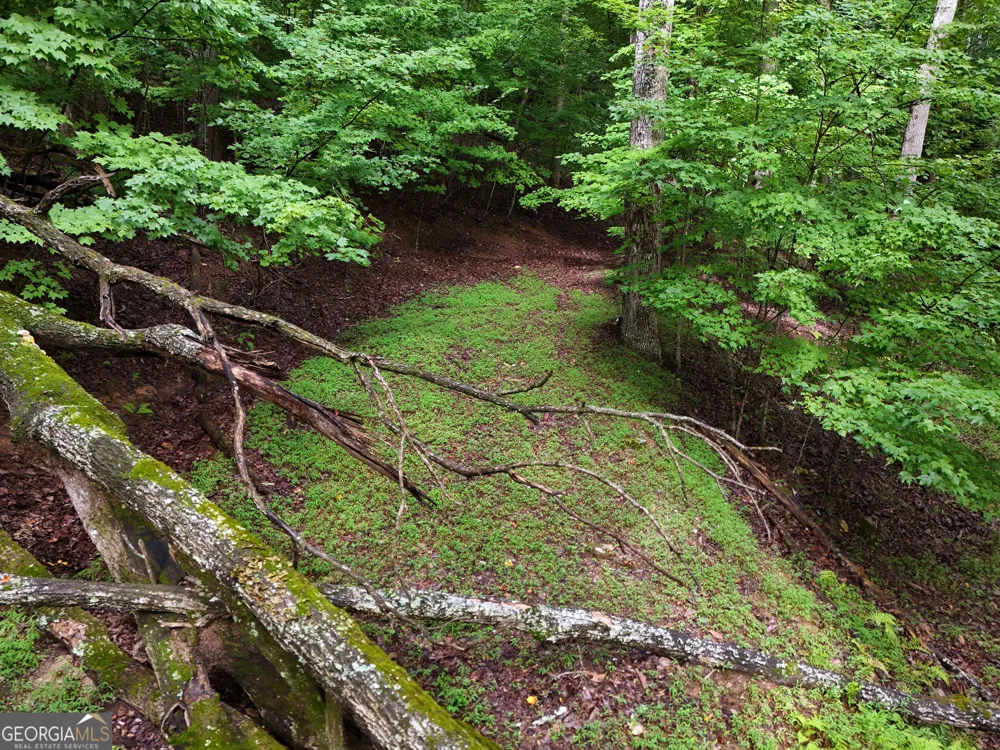 LOT 71 Chicory DR W Blairsville, GA 30512