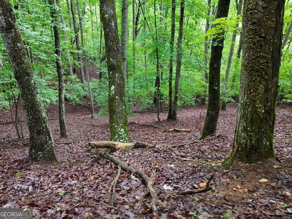 LOT 71 Chicory DR W Blairsville, GA 30512