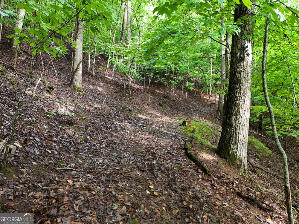 LOT 71 Chicory DR W Blairsville, GA 30512