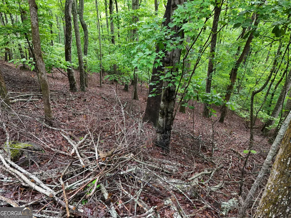 LOT 71 Chicory DR W Blairsville, GA 30512