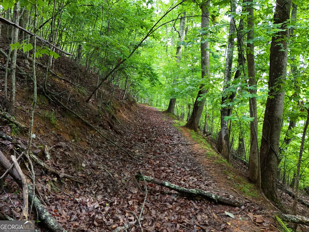 LOT 71 Chicory DR W Blairsville, GA 30512