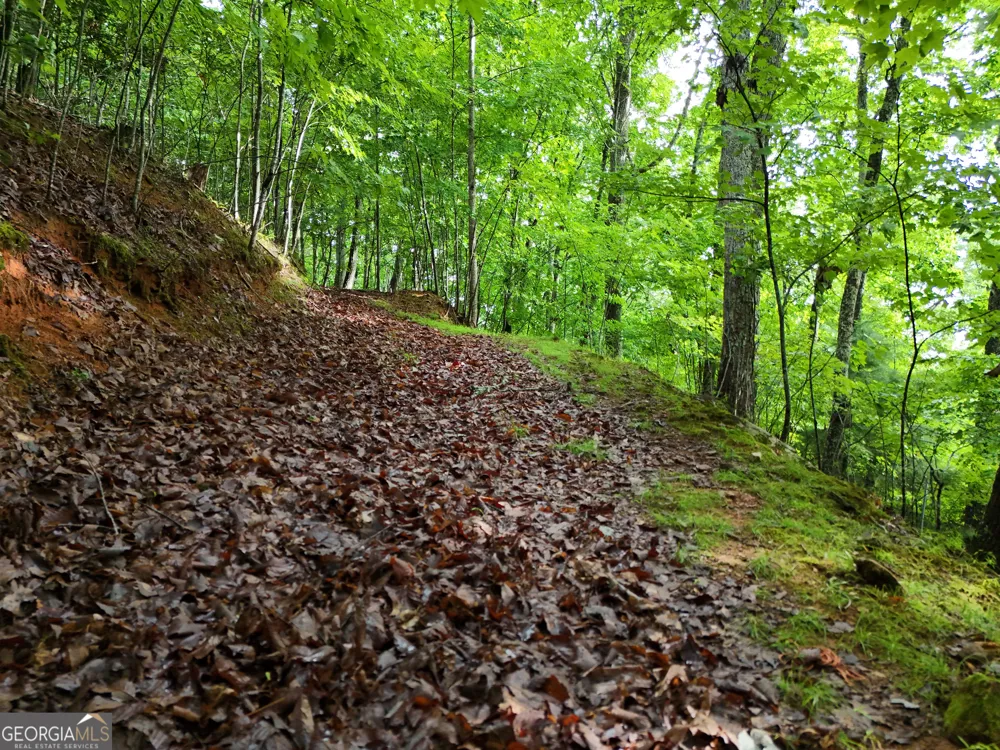 LOT 71 Chicory DR W Blairsville, GA 30512