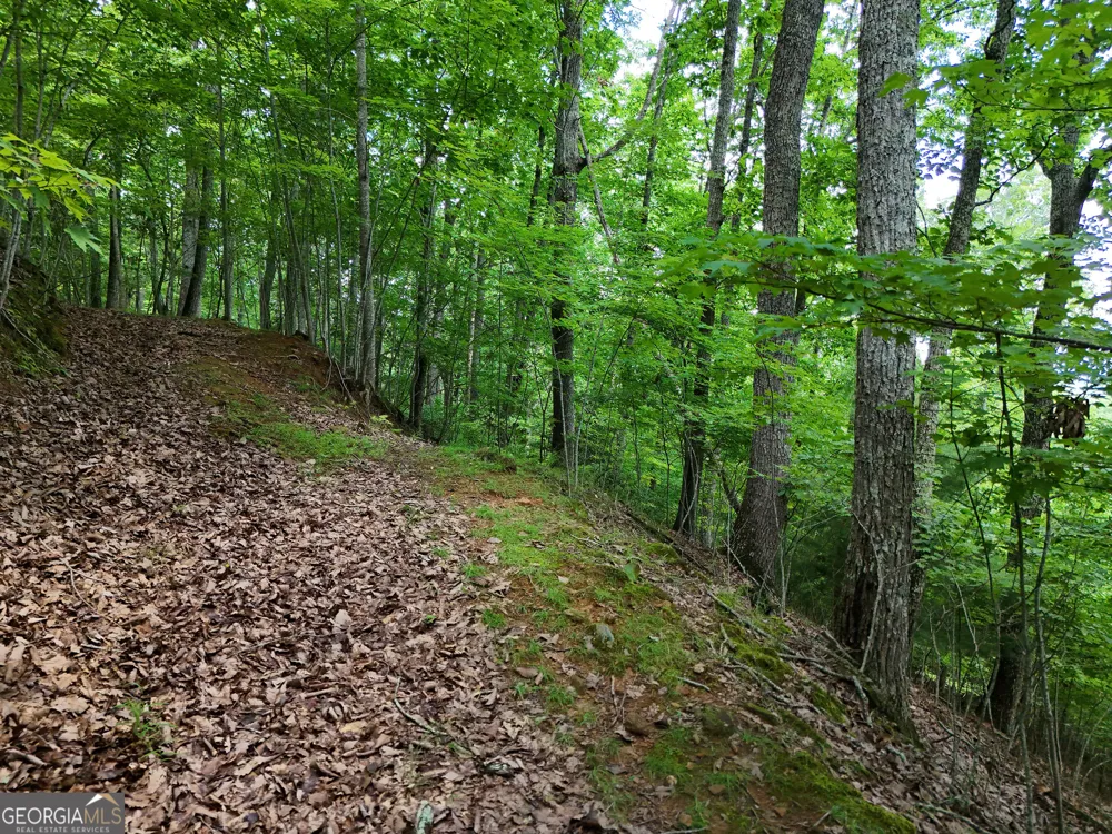 LOT 71 Chicory DR W Blairsville, GA 30512