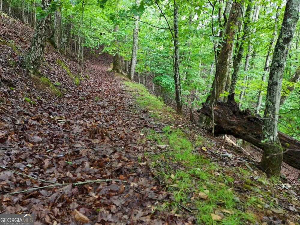LOT 71 Chicory DR W Blairsville, GA 30512