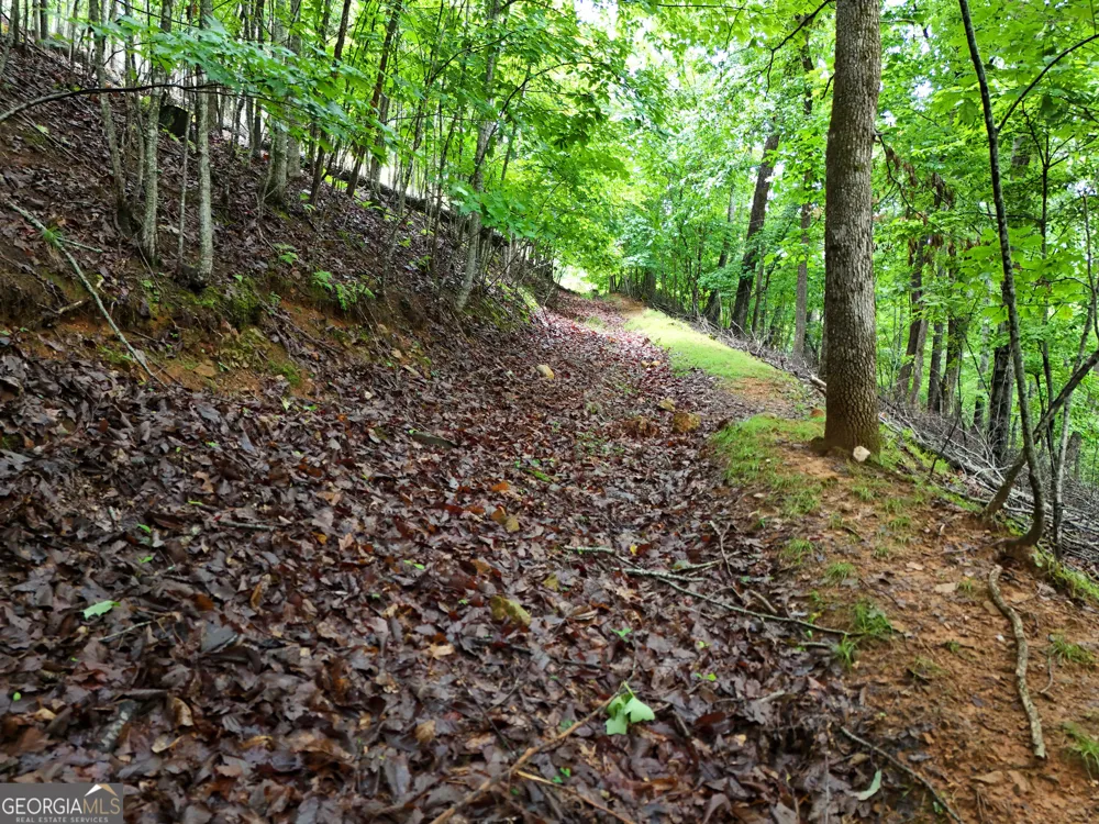 LOT 71 Chicory DR W Blairsville, GA 30512