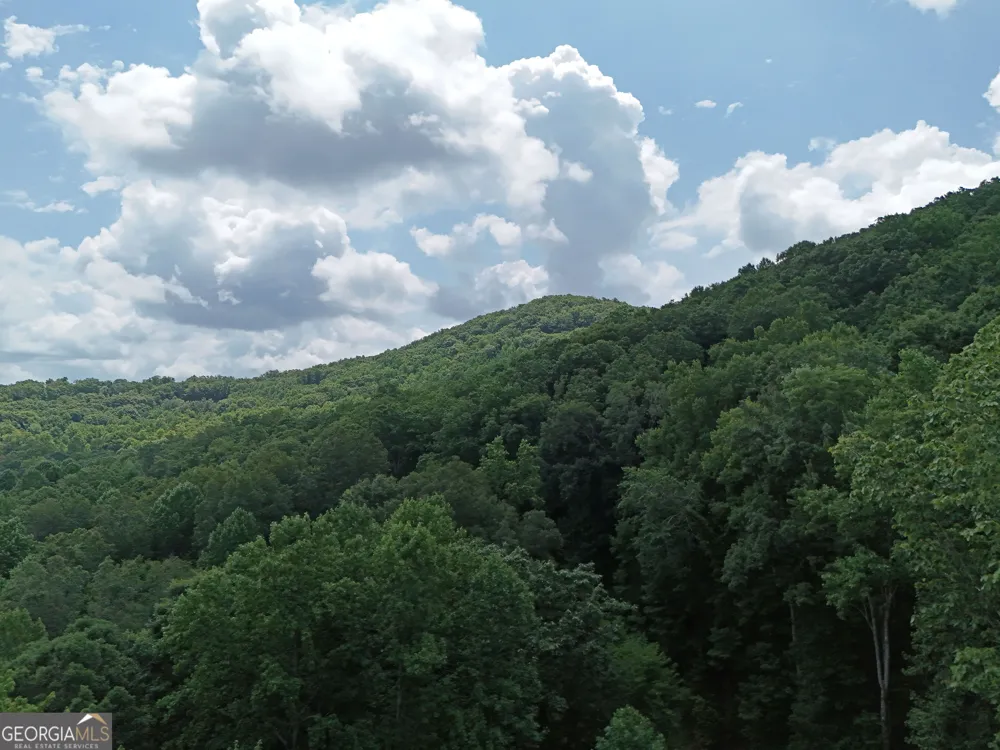 LOT 71 Chicory DR W Blairsville, GA 30512