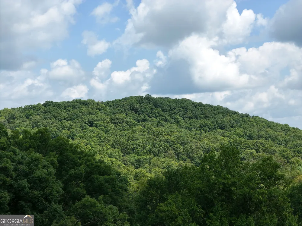 LOT 71 Chicory DR W Blairsville, GA 30512