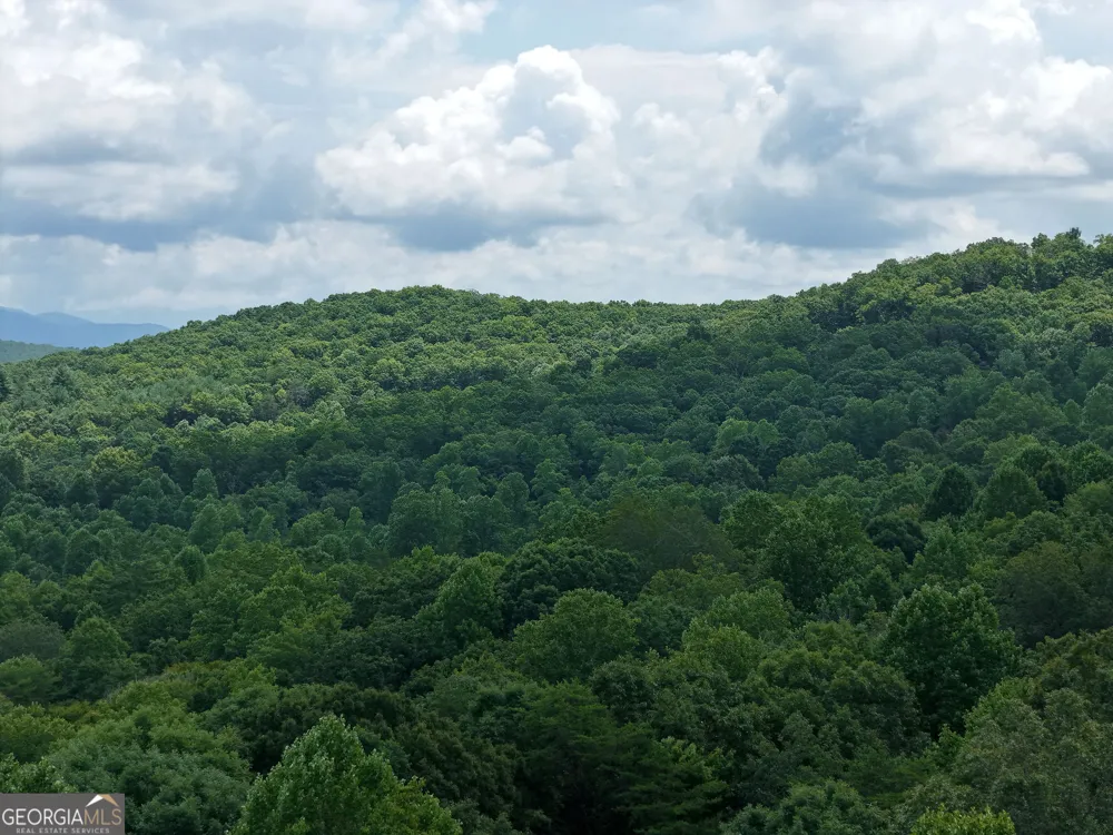 LOT 71 Chicory DR W Blairsville, GA 30512