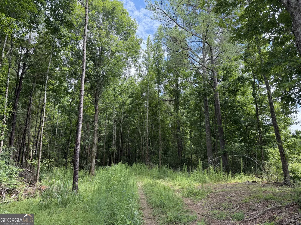 004 County Rd 445 Haleyville, AL 35565