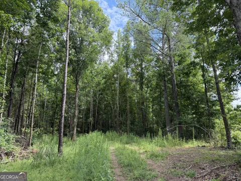 004 County Rd 445