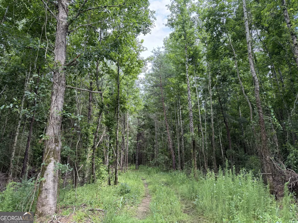 004 County Rd 445 Haleyville, AL 35565