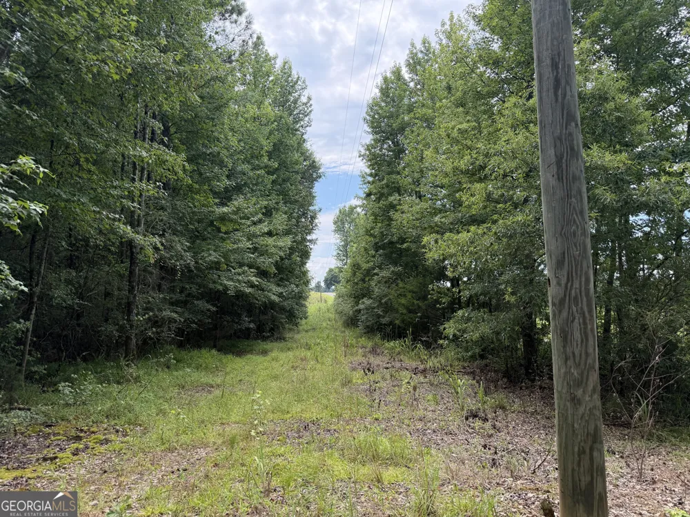 004 County Rd 445 Haleyville, AL 35565