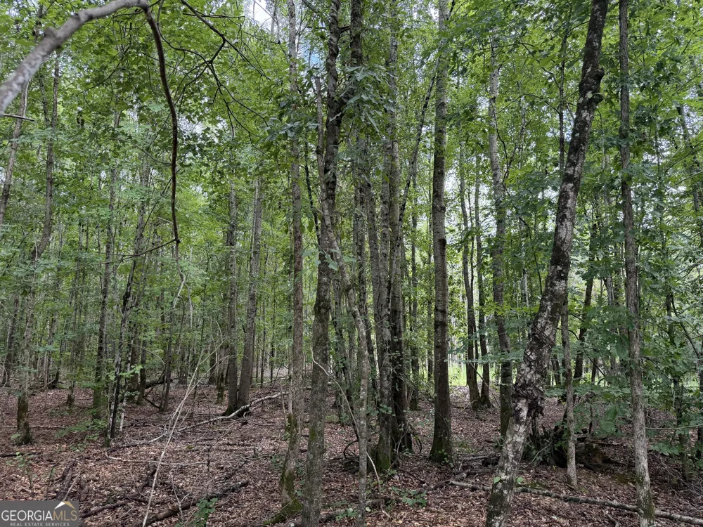 004 County Rd 445 Haleyville, AL 35565
