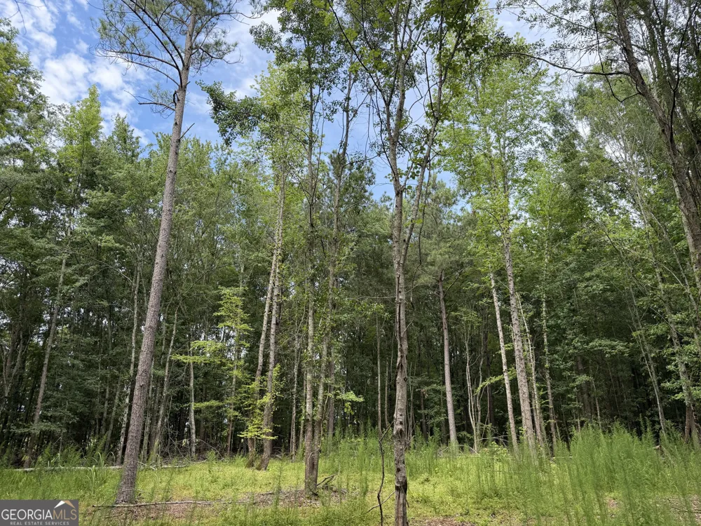 004 County Rd 445 Haleyville, AL 35565