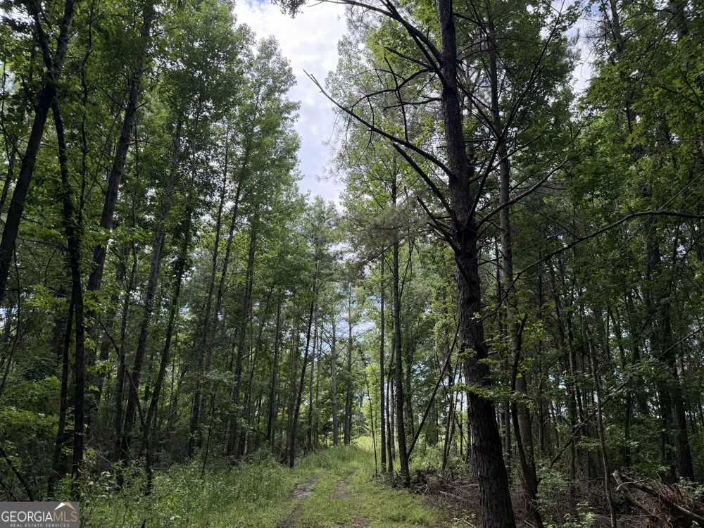 004 County Rd 445 Haleyville, AL 35565