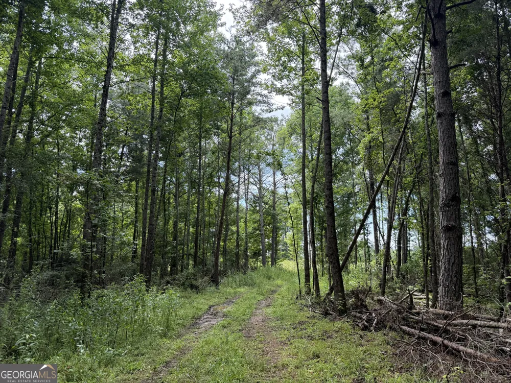 004 County Rd 445 Haleyville, AL 35565