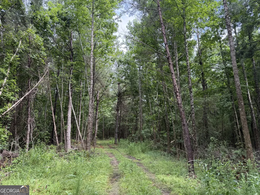 004 County Rd 445 Haleyville, AL 35565
