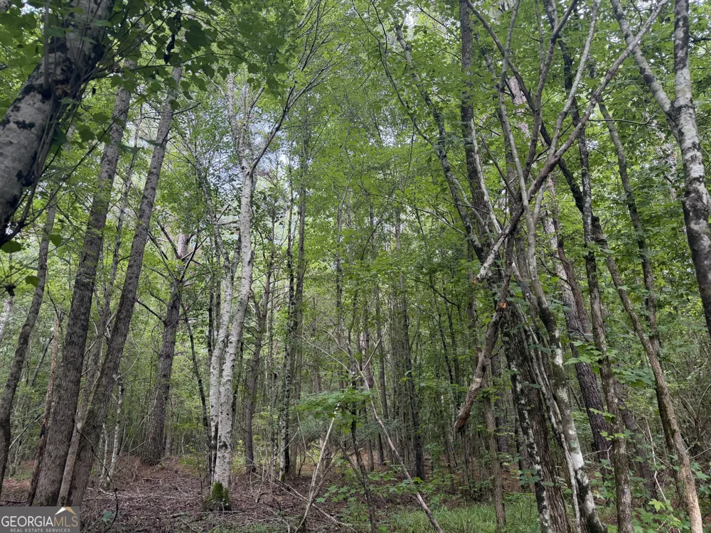 004 County Rd 445 Haleyville, AL 35565