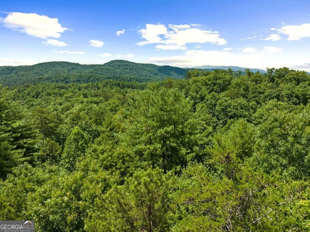 9 Kensington DR Mineral Bluff, GA 30559