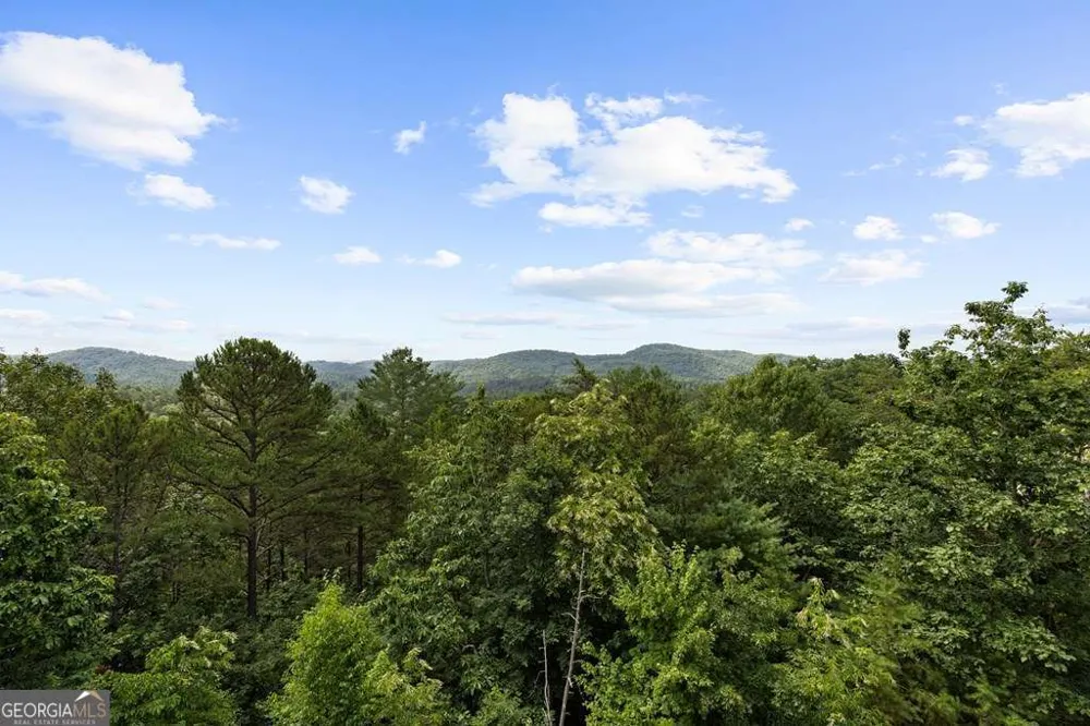 9 Kensington DR Mineral Bluff, GA 30559