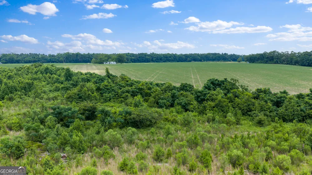 0 Wade Aycock RD Surrency, GA 31563