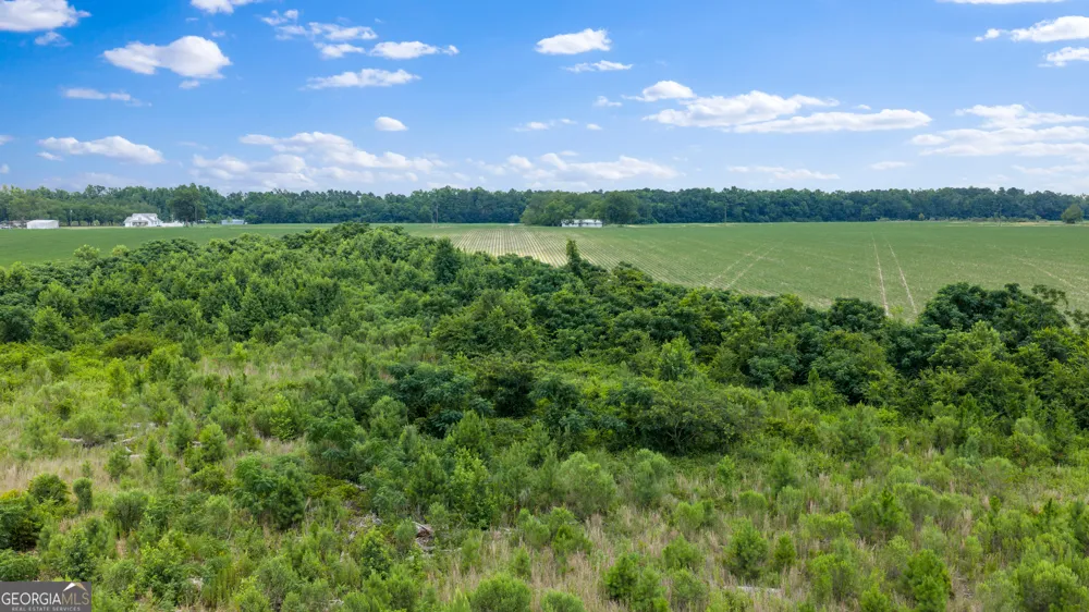 0 Wade Aycock RD Surrency, GA 31563