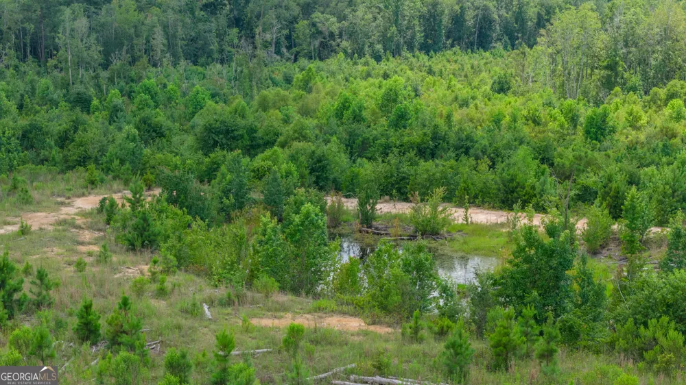 0 Wade Aycock RD Surrency, GA 31563