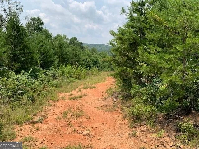 1354 Pine Ridge RD Clarkesville, GA 30523