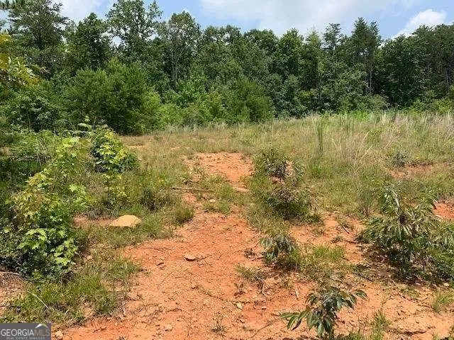 1354 Pine Ridge RD Clarkesville, GA 30523