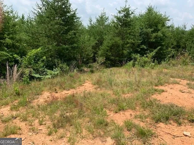 1354 Pine Ridge RD Clarkesville, GA 30523