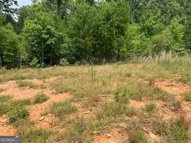 1354 Pine Ridge RD Clarkesville, GA 30523