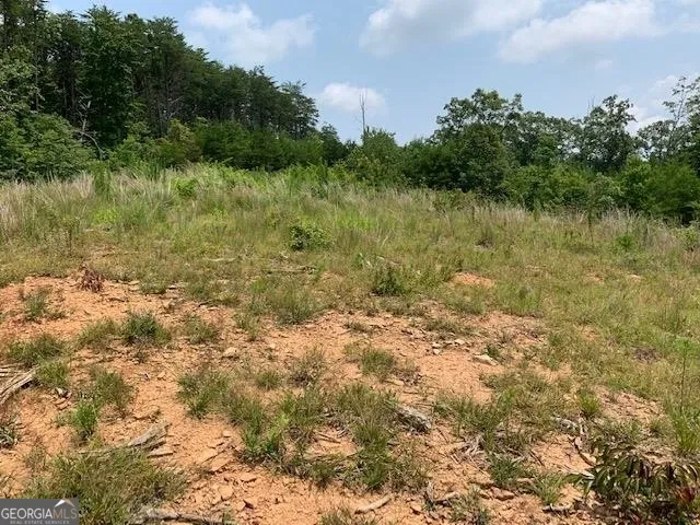 1354 Pine Ridge RD Clarkesville, GA 30523
