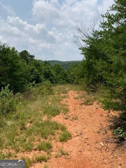 1354 Pine Ridge RD Clarkesville, GA 30523