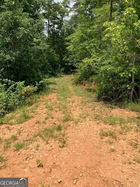 1354 Pine Ridge RD Clarkesville, GA 30523