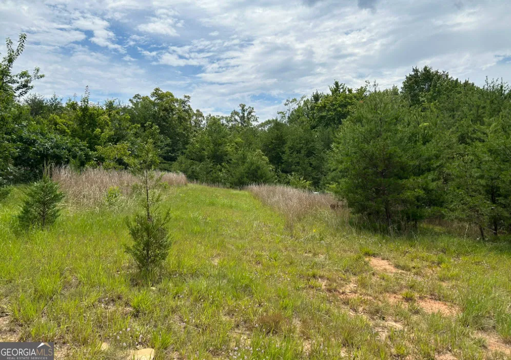 1354 Pine Ridge RD Clarkesville, GA 30523