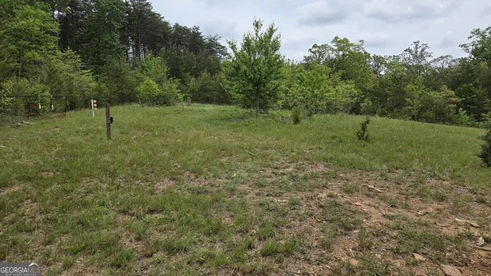 1354 Pine Ridge RD Clarkesville, GA 30523