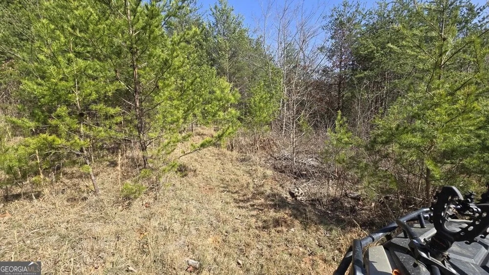 1354 Pine Ridge RD Clarkesville, GA 30523