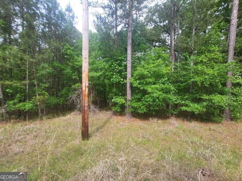0 Dianthus DR Sparta, GA 31087