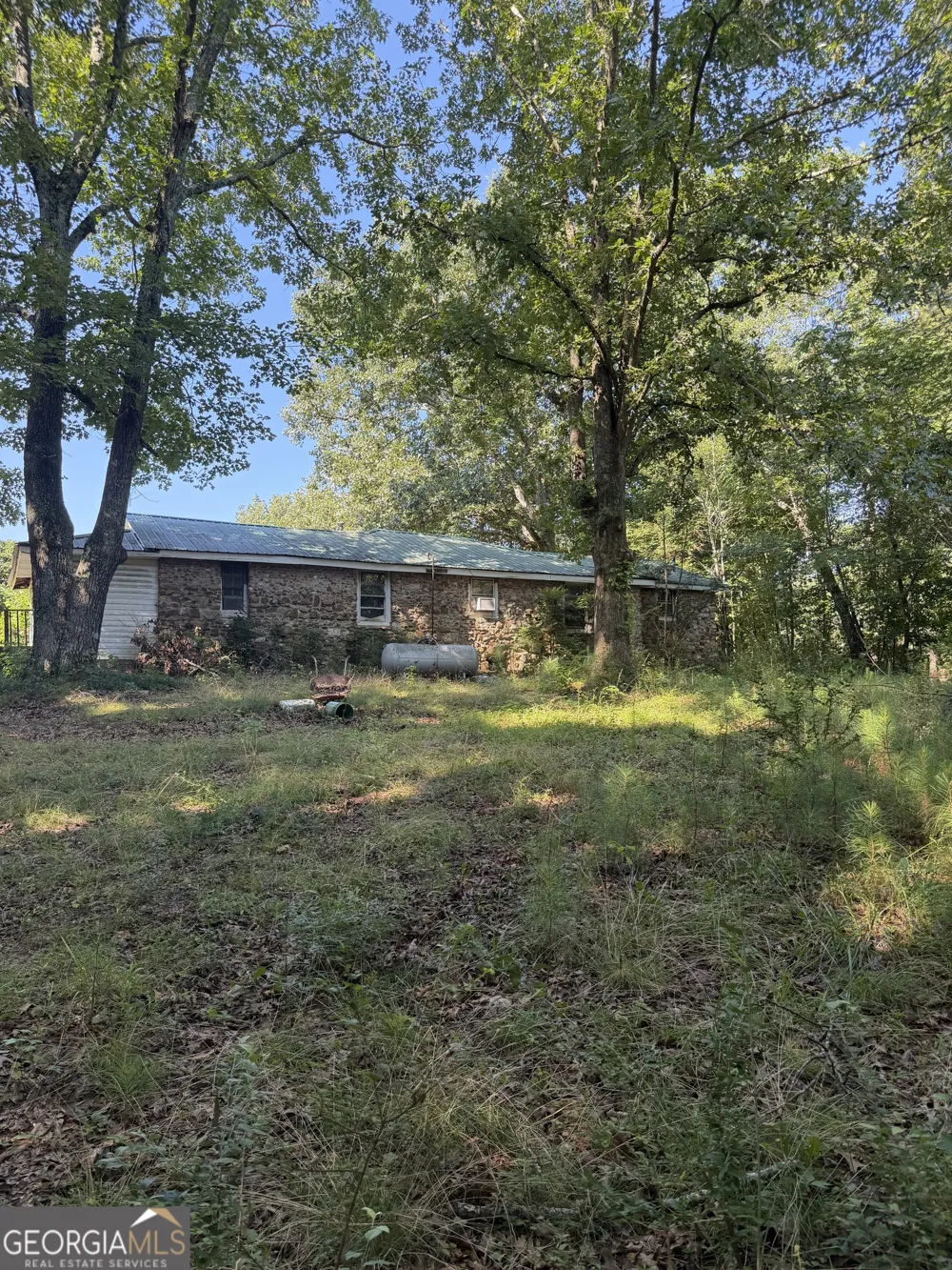 269 Perry LN Buchanan, GA 30113