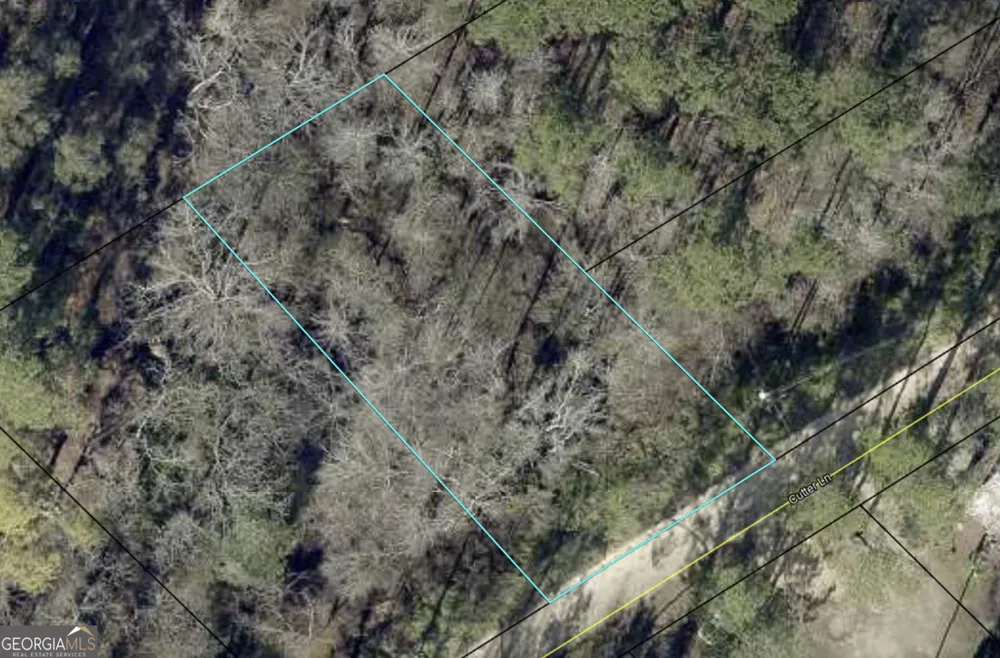 0 Cutter LN Sylvania, GA 30467