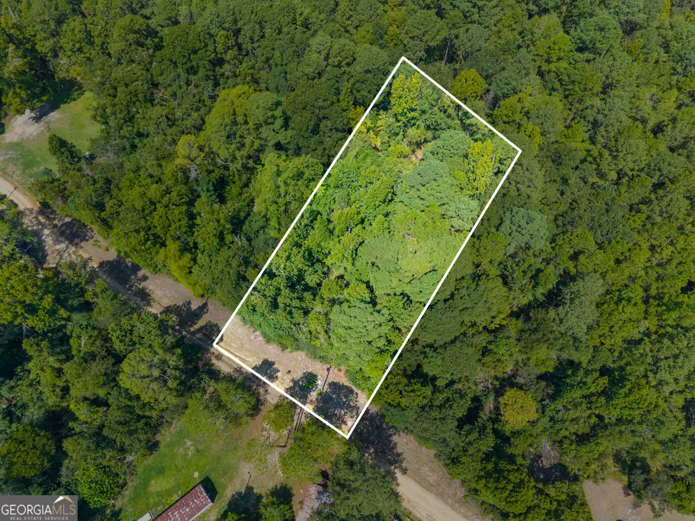 0 Cutter LN Sylvania, GA 30467