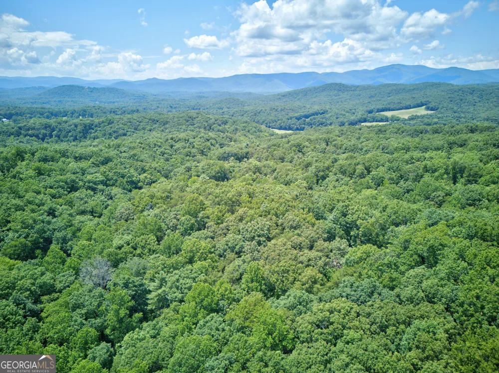 750 Seye Wailo TRL Clarkesville, GA 30523