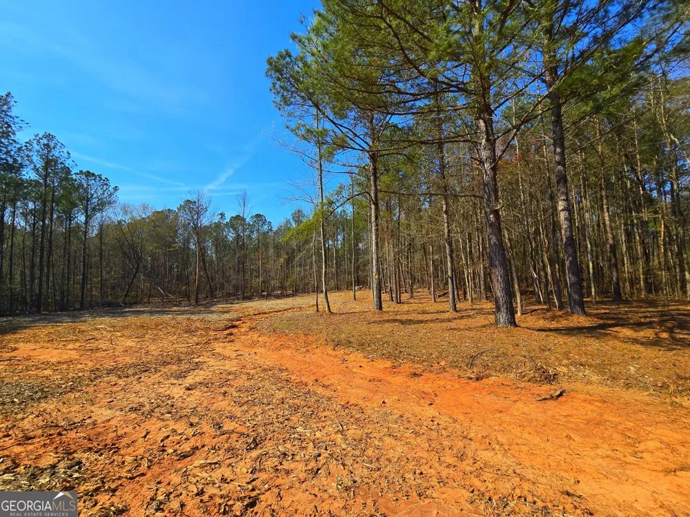 2001 Rocky Creek RD Mansfield, GA 30055