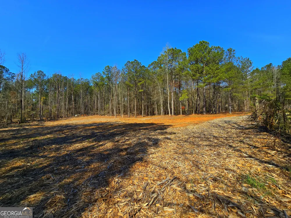 2001 Rocky Creek RD Mansfield, GA 30055