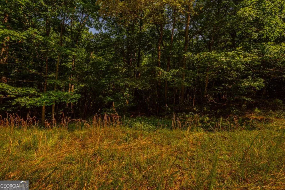 0 Old Cherokee WAY Dawsonville, GA 30534