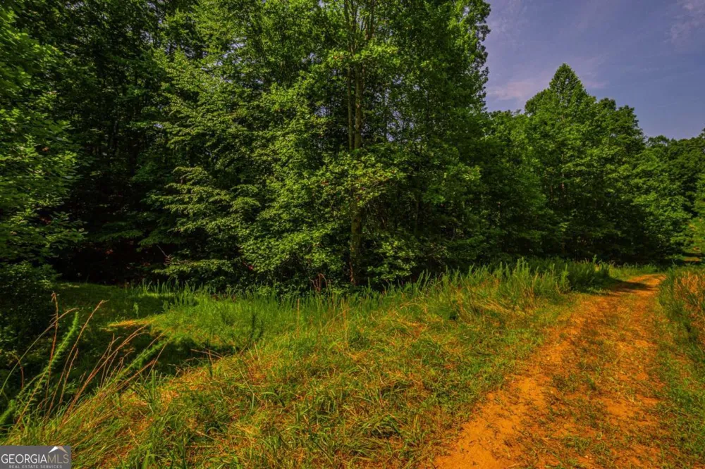 0 Old Cherokee WAY Dawsonville, GA 30534