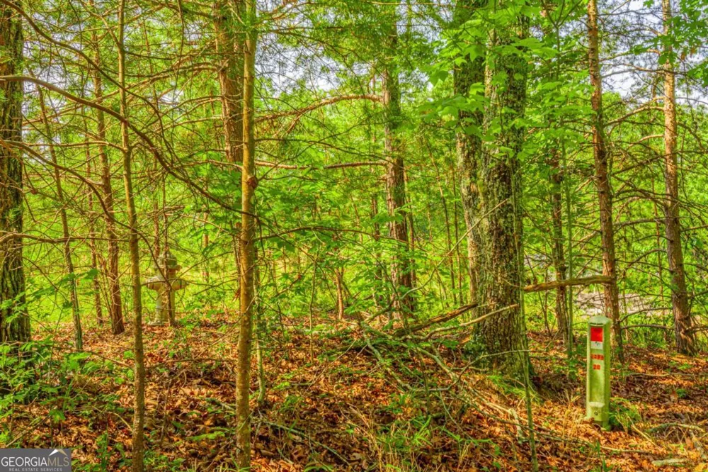 0 Old Cherokee WAY Dawsonville, GA 30534