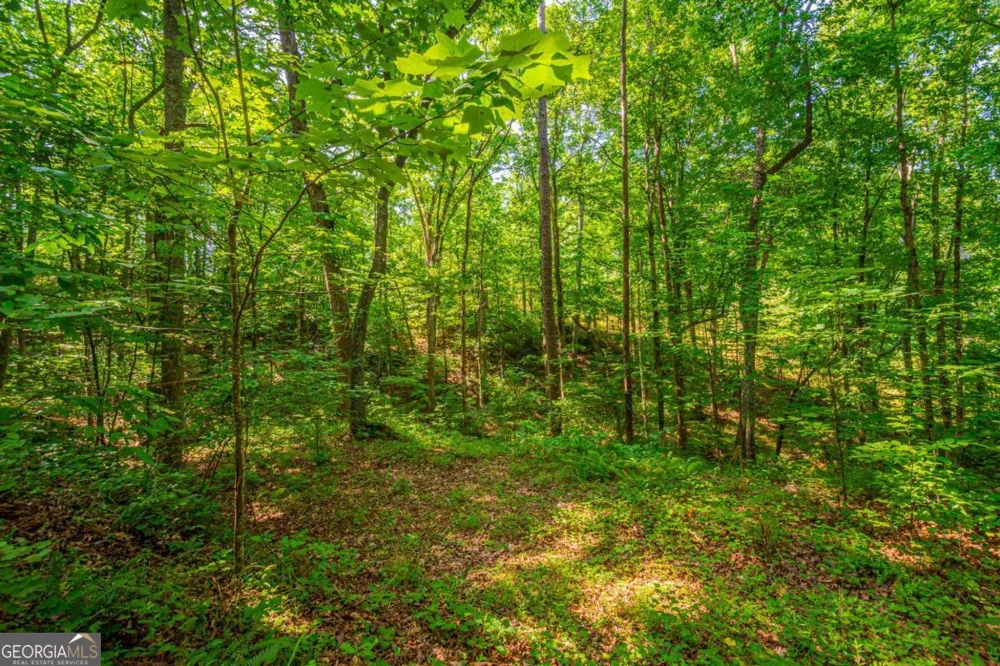0 Old Cherokee WAY Dawsonville, GA 30534
