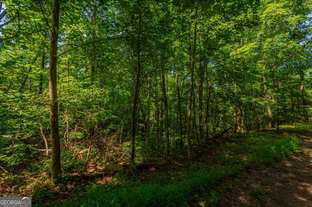 0 Old Cherokee WAY Dawsonville, GA 30534